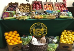 Tulare County Produce